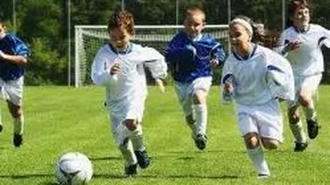 AG捕鱼官网攻略 资讯 094834 2dp